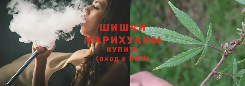 Бошки марихуана Amnesia  Багратионовск 